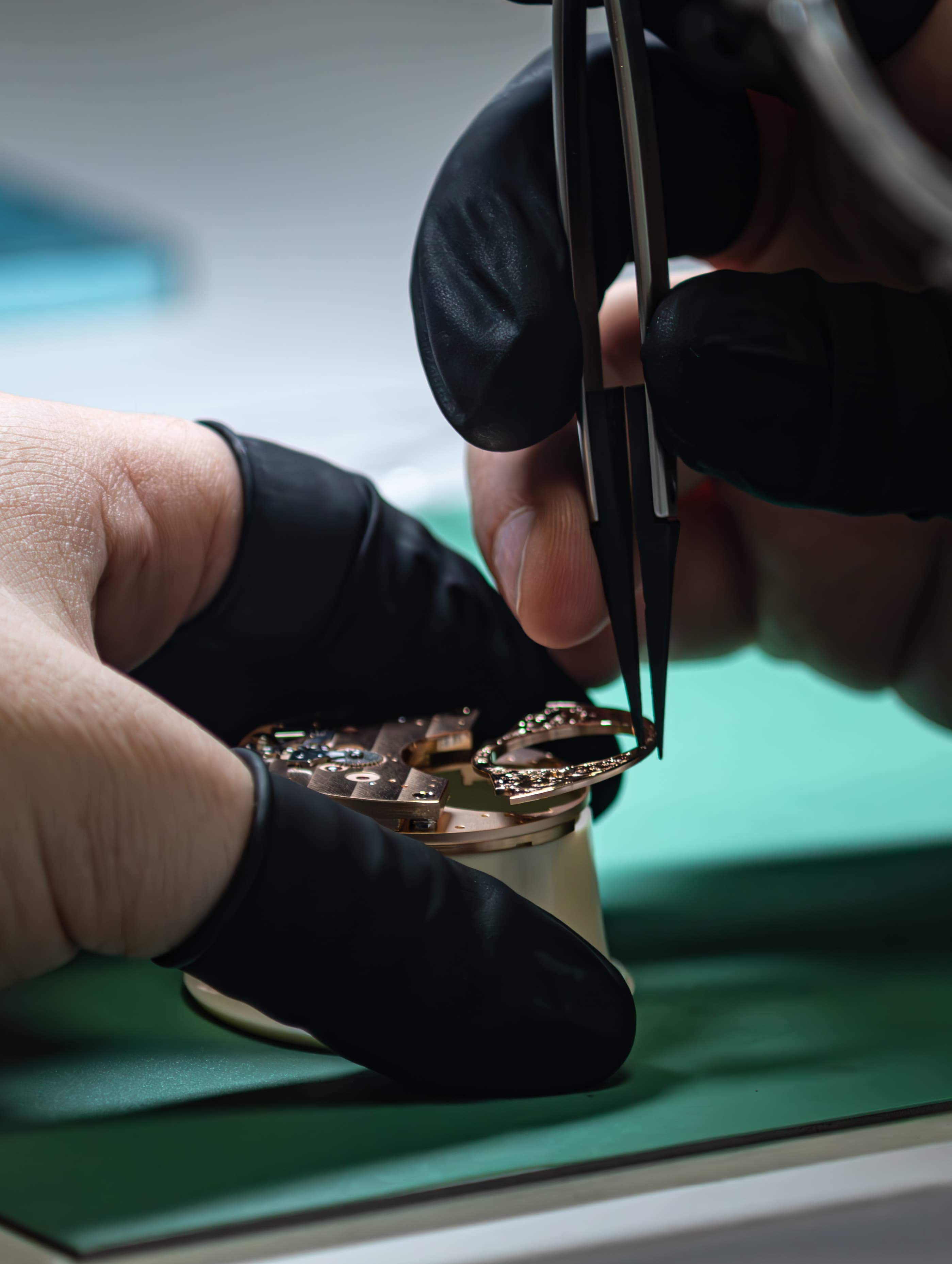 Movement inspection under magnification